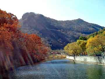 新澳门二四六天天彩，台北seo建站